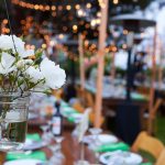 Seedling Soirée 2020: Social Distance Style