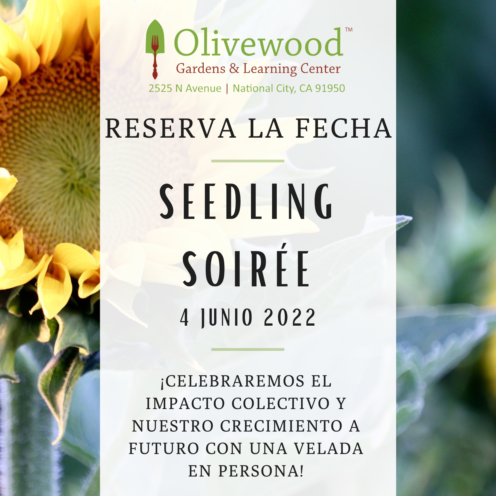 ¡Seedling Soirée 2022!