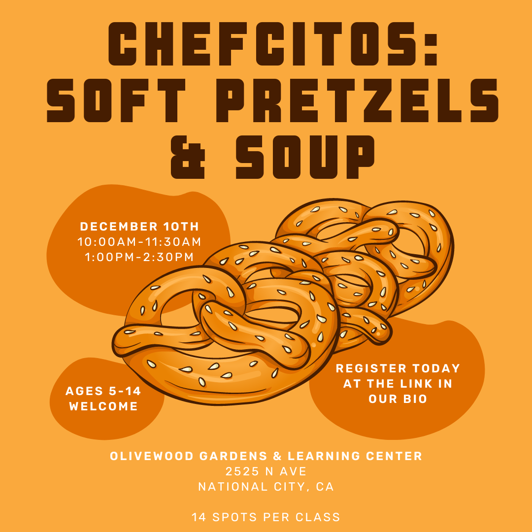 Chefcitos: Pretzels y Sopa (VENDIDO)