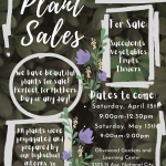 Venta de Plantas