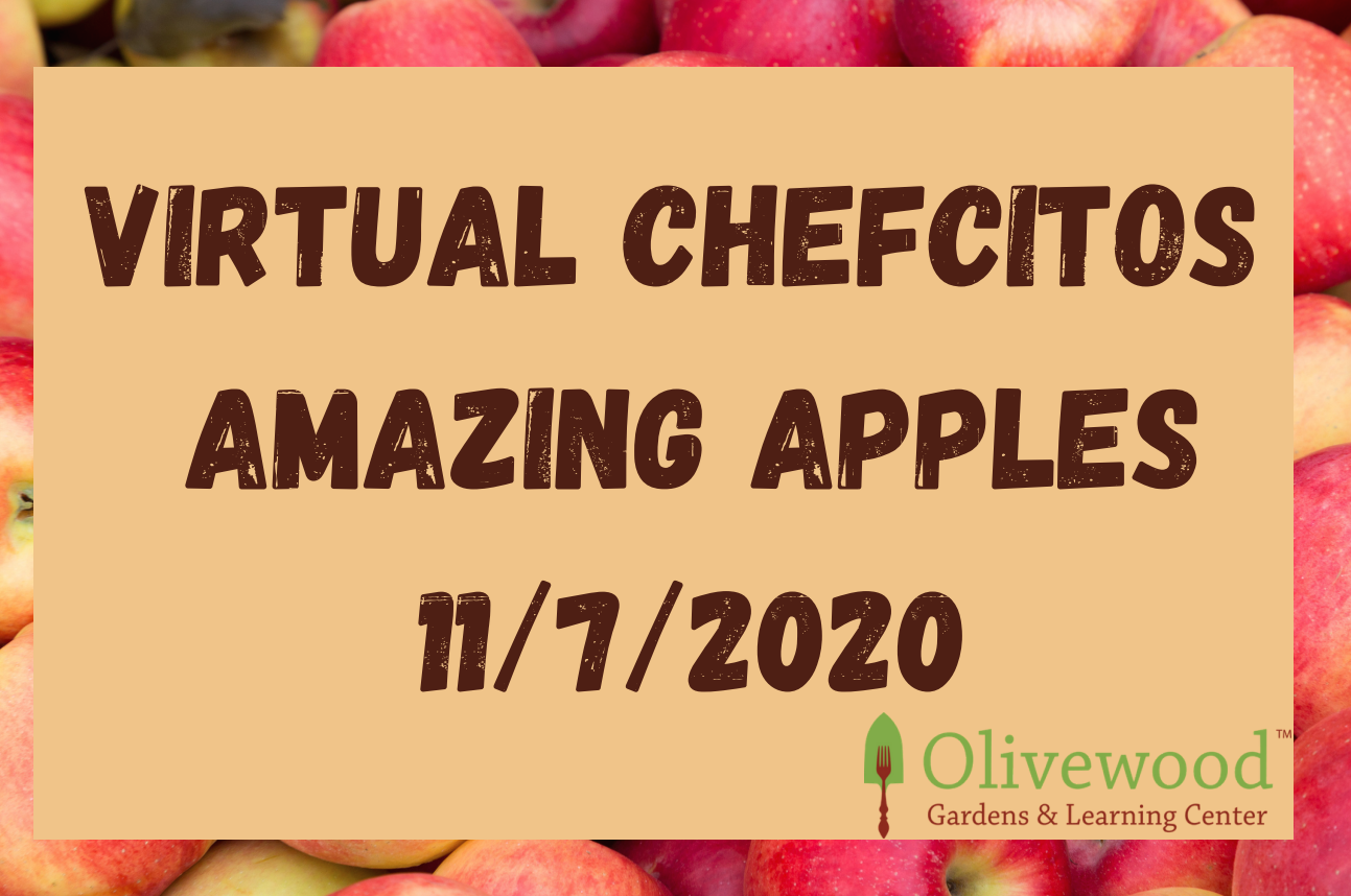 Chefcitos Kids Cooking Class: Amazing Apples