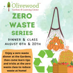 Zero-Waste Series: Dinner