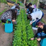 Youth Community Leadership Internship