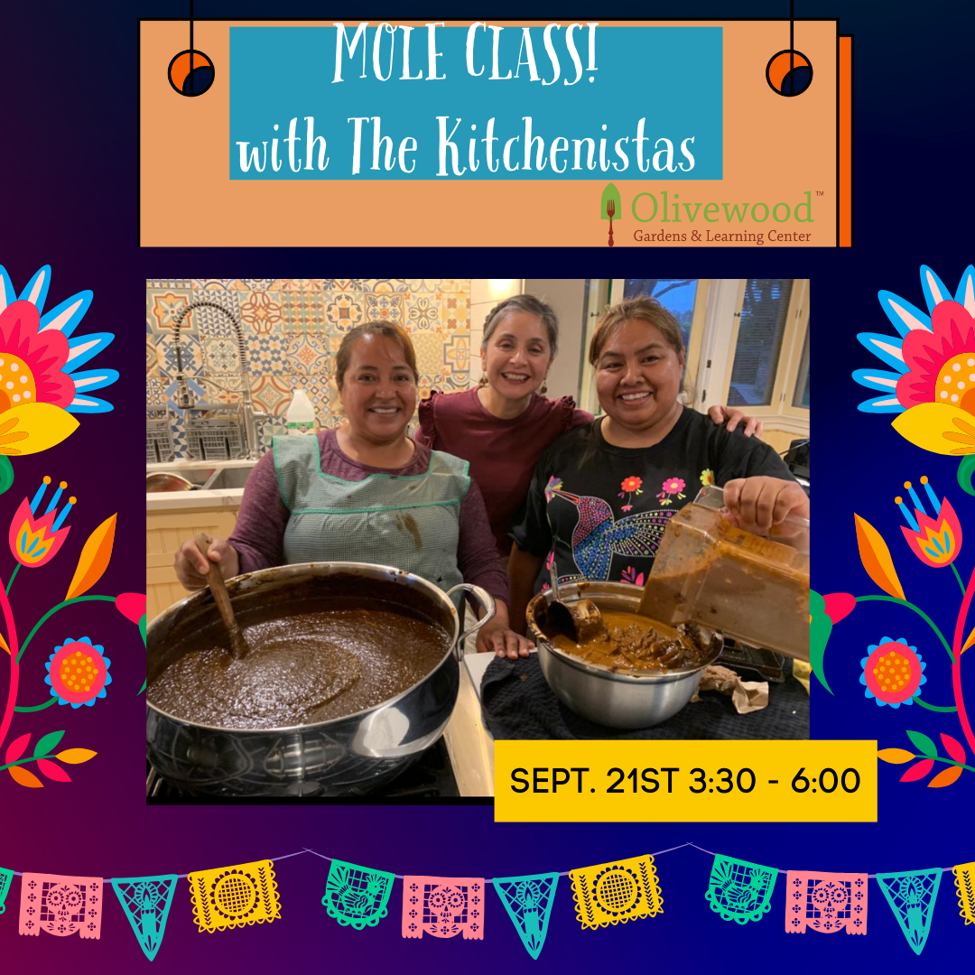 Adult Cooking Class: Mole Making with The Kitchenistas!