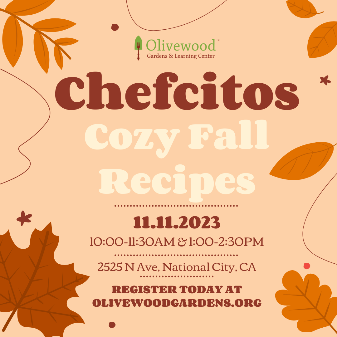 Chefcitos: Cozy Fall Recipes PM SOLD OUT
