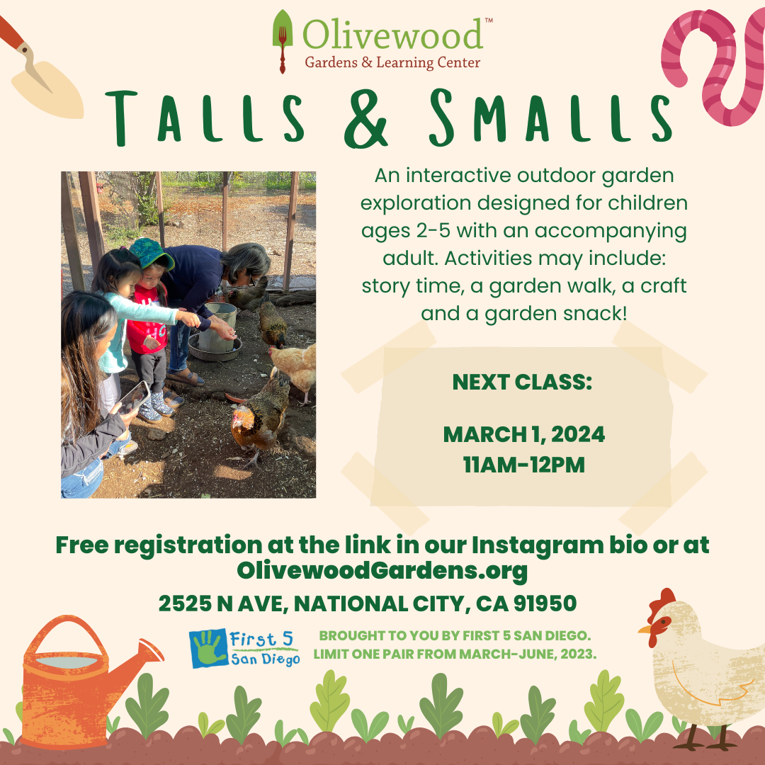 Clases de Cocina para Niños - Olivewood Gardens