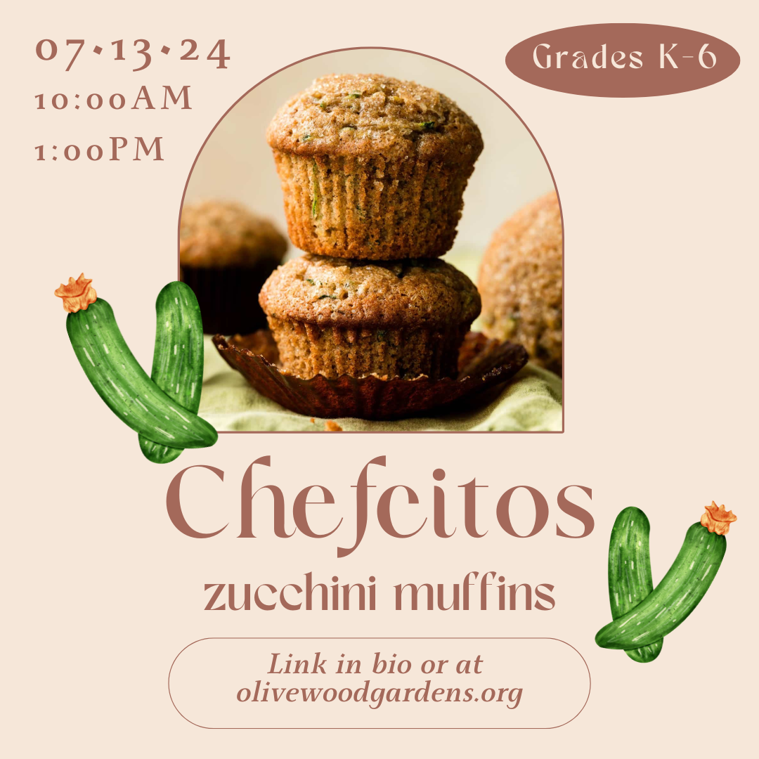Chefcitos July 10AM Zucchini Muffins! - SOLD OUT
