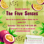 Garden Explorers: Using the 5 Senses in the Garden!