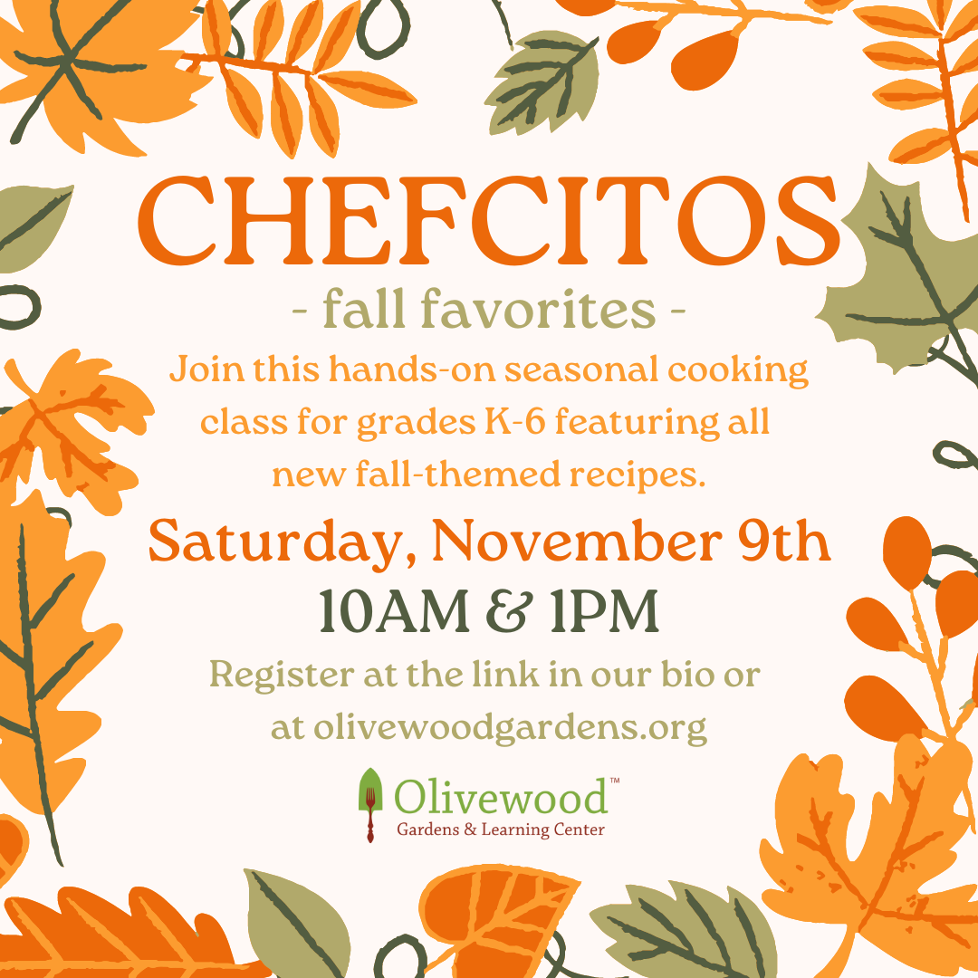 Chefcitos November 1 PM