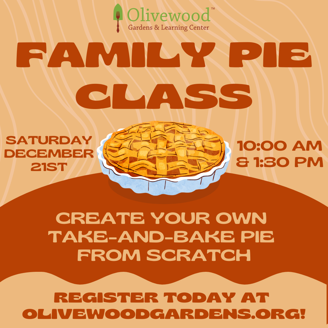 SOLD OUT: Family Baking Class