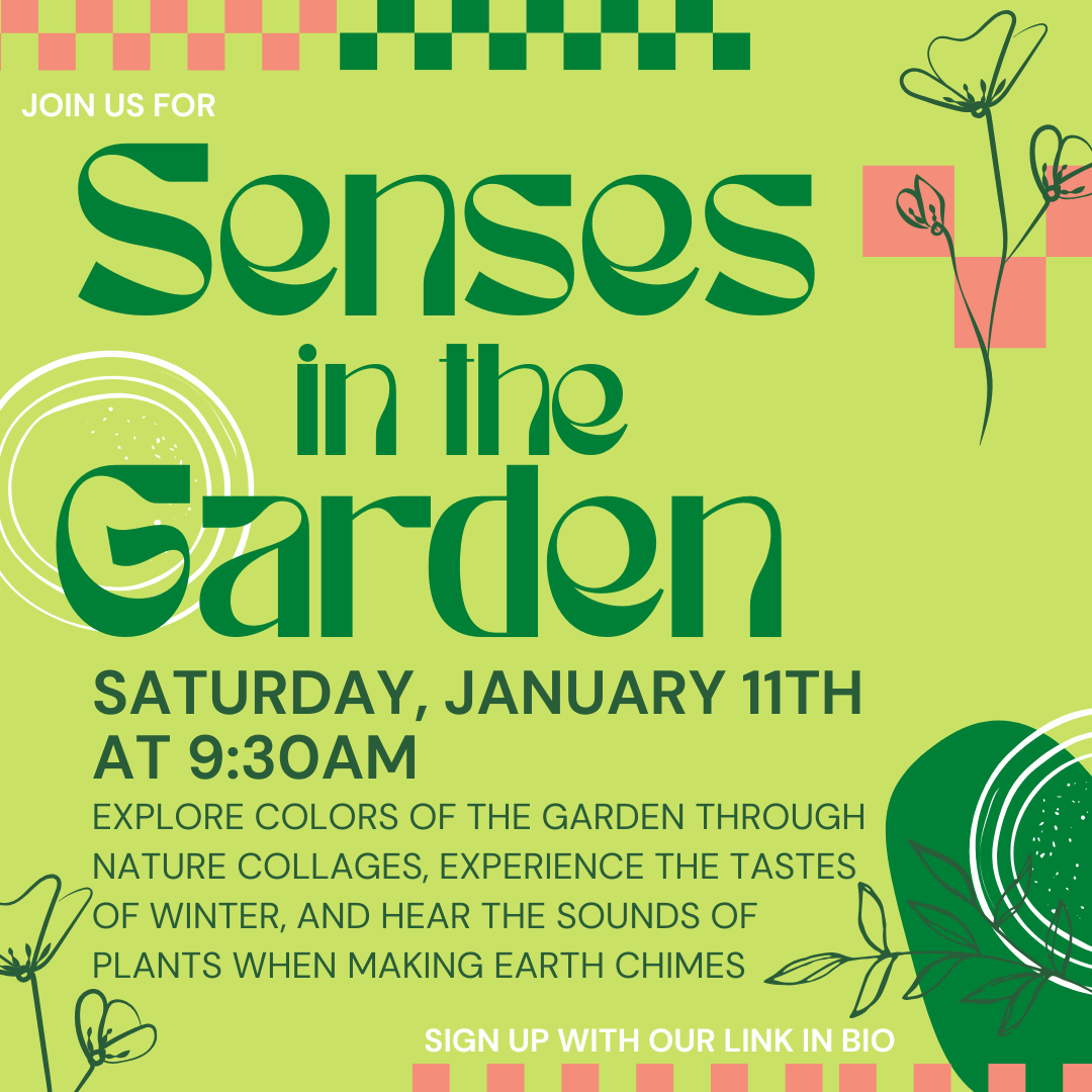 Garden Explorers January: Exploring the Senses!