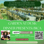 Garden at Dusk Dinner Series