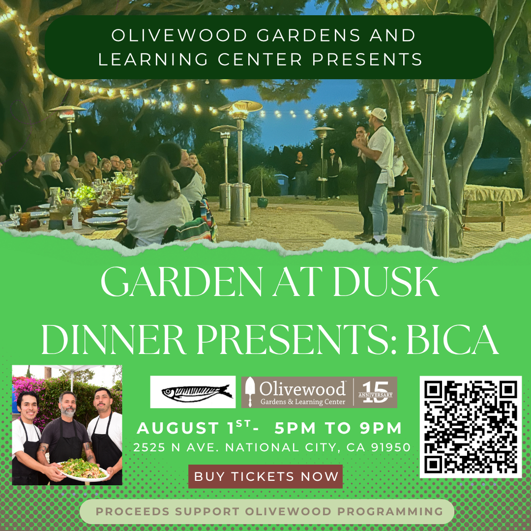 Garden at Dusk Dinner Series