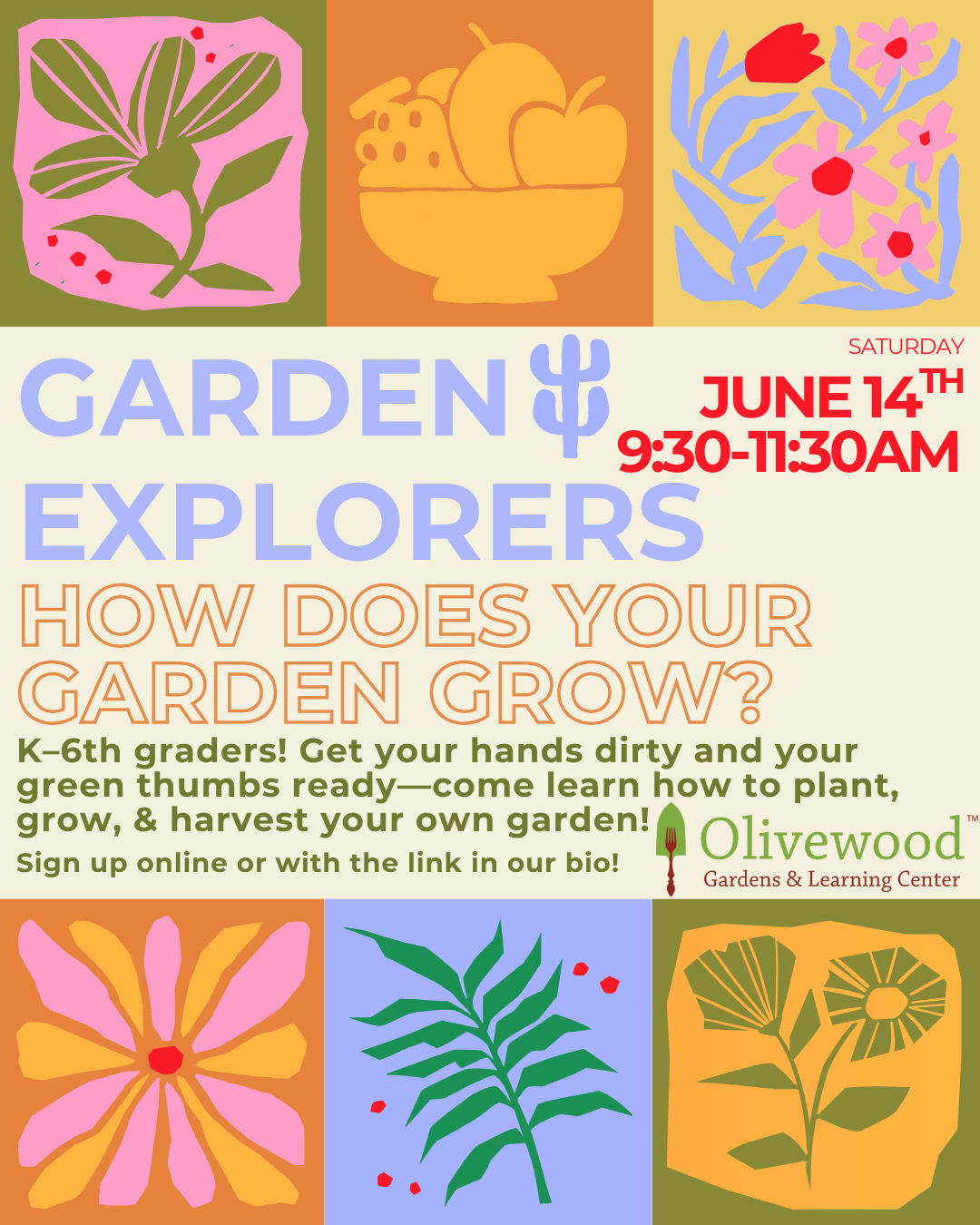 Garden Explorers June: How Does Your Garden Grow?