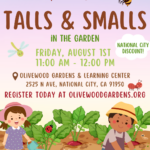 Talls & Smalls August