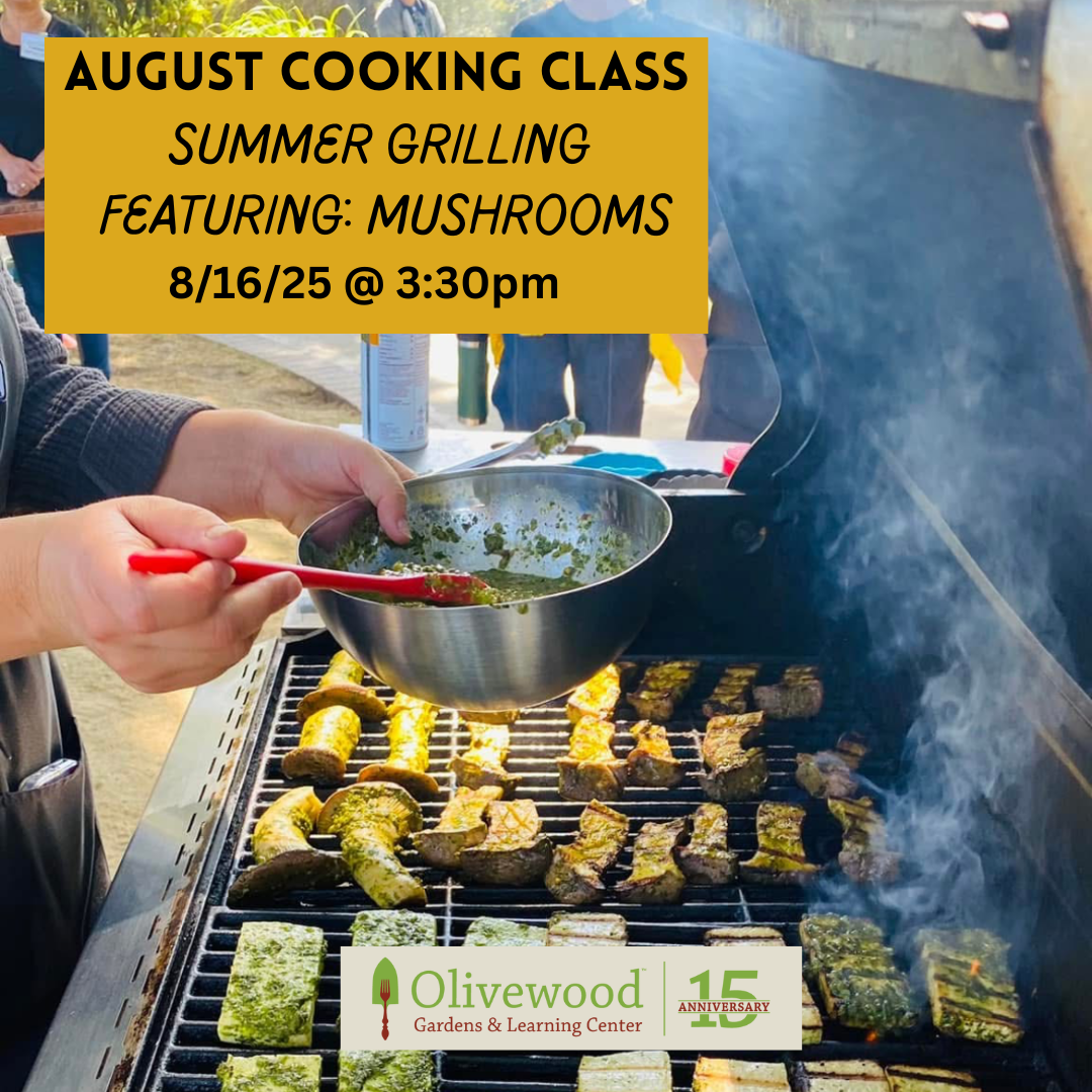 August Grilling Class