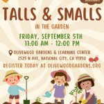Talls & Smalls September