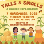 Talls and Smalls - November 7th, 2025