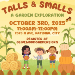 Talls and Smalls - October 3rd, 2025