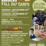 Fall Day Camp- September