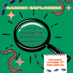 Garden Explorers October: All About Bugs!