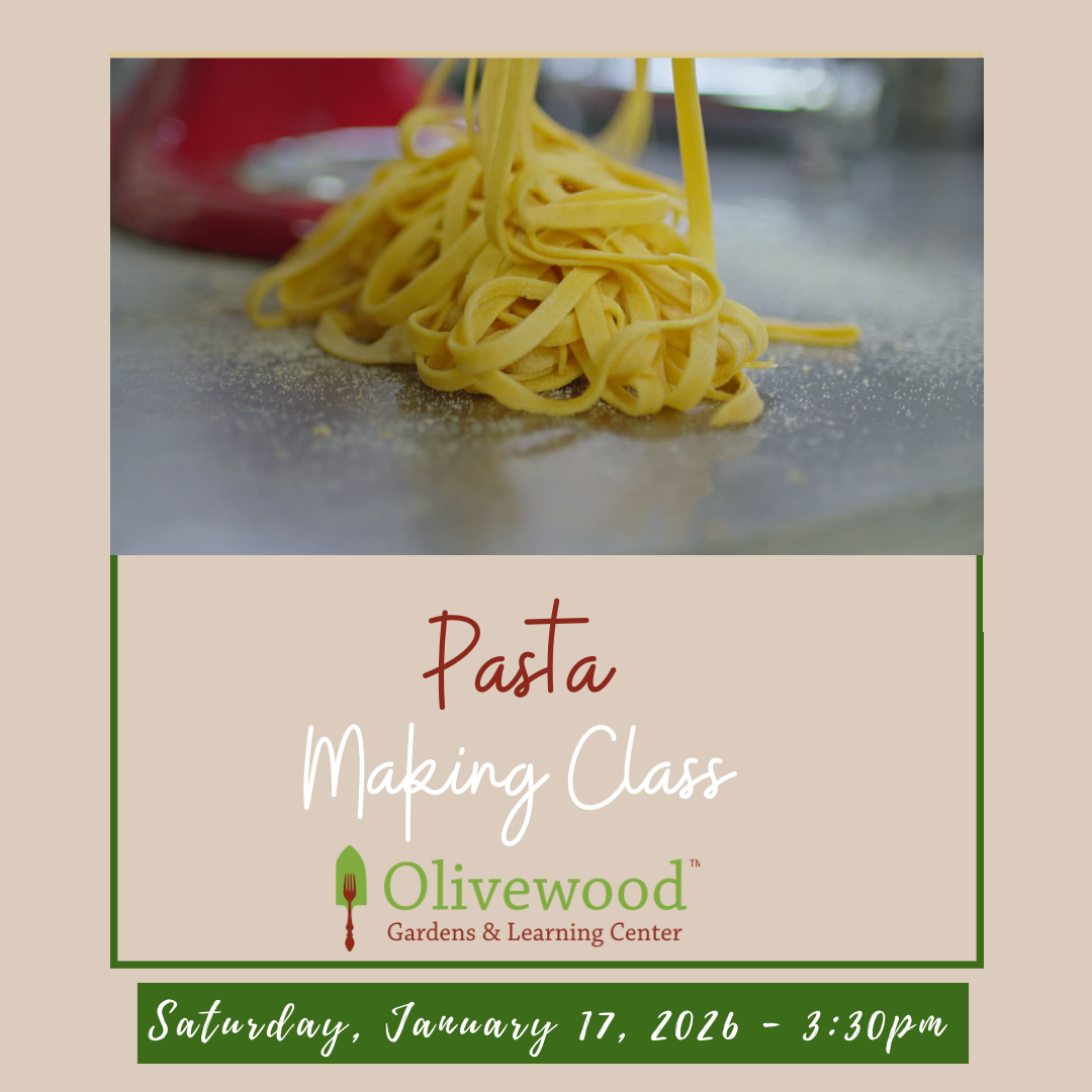 Pasta Making Class-January