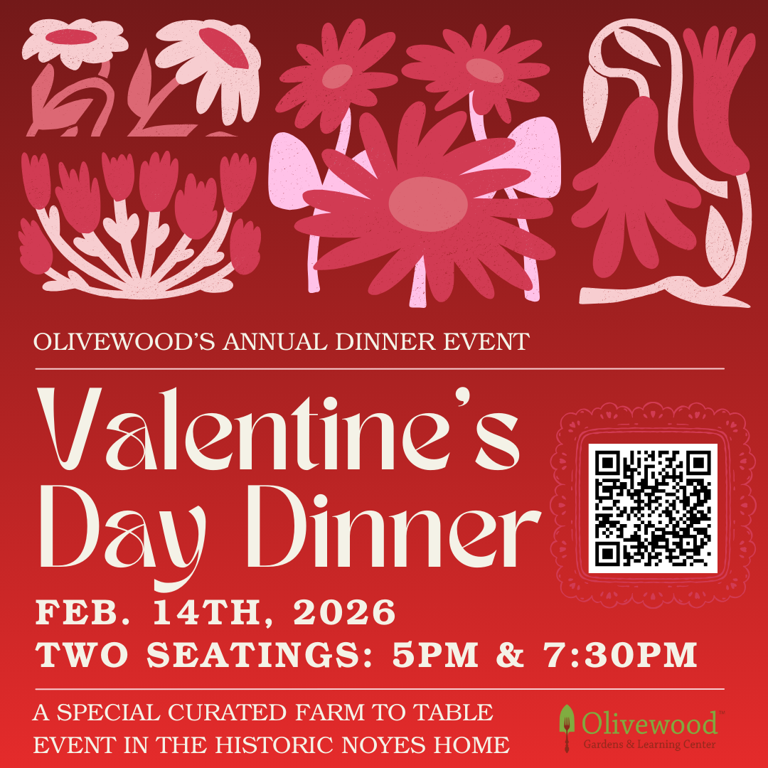 2026 Valentine's Day Dinner
