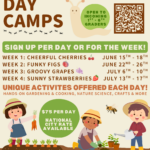 Summer Camp Week 1: Cheerful Cherries!