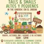 Talls & Smalls / Altos y Pequeños (10/2/26)