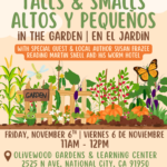 Talls & Smalls / Altos y Pequeños (11/6/26) featuring local author: Susan Frazee